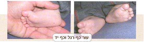 (בספר איור, היעזר במנחה)